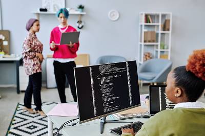 Web Development Team